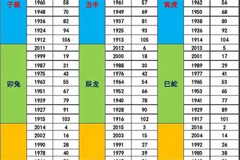 2025年五行